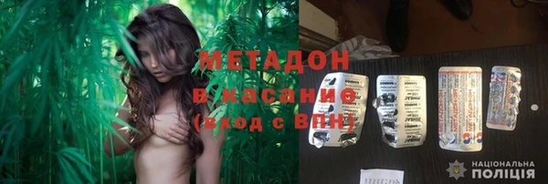 ПСИЛОЦИБИНОВЫЕ ГРИБЫ Абаза