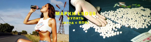 ПСИЛОЦИБИНОВЫЕ ГРИБЫ Абаза