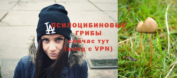 ПСИЛОЦИБИНОВЫЕ ГРИБЫ Абаза